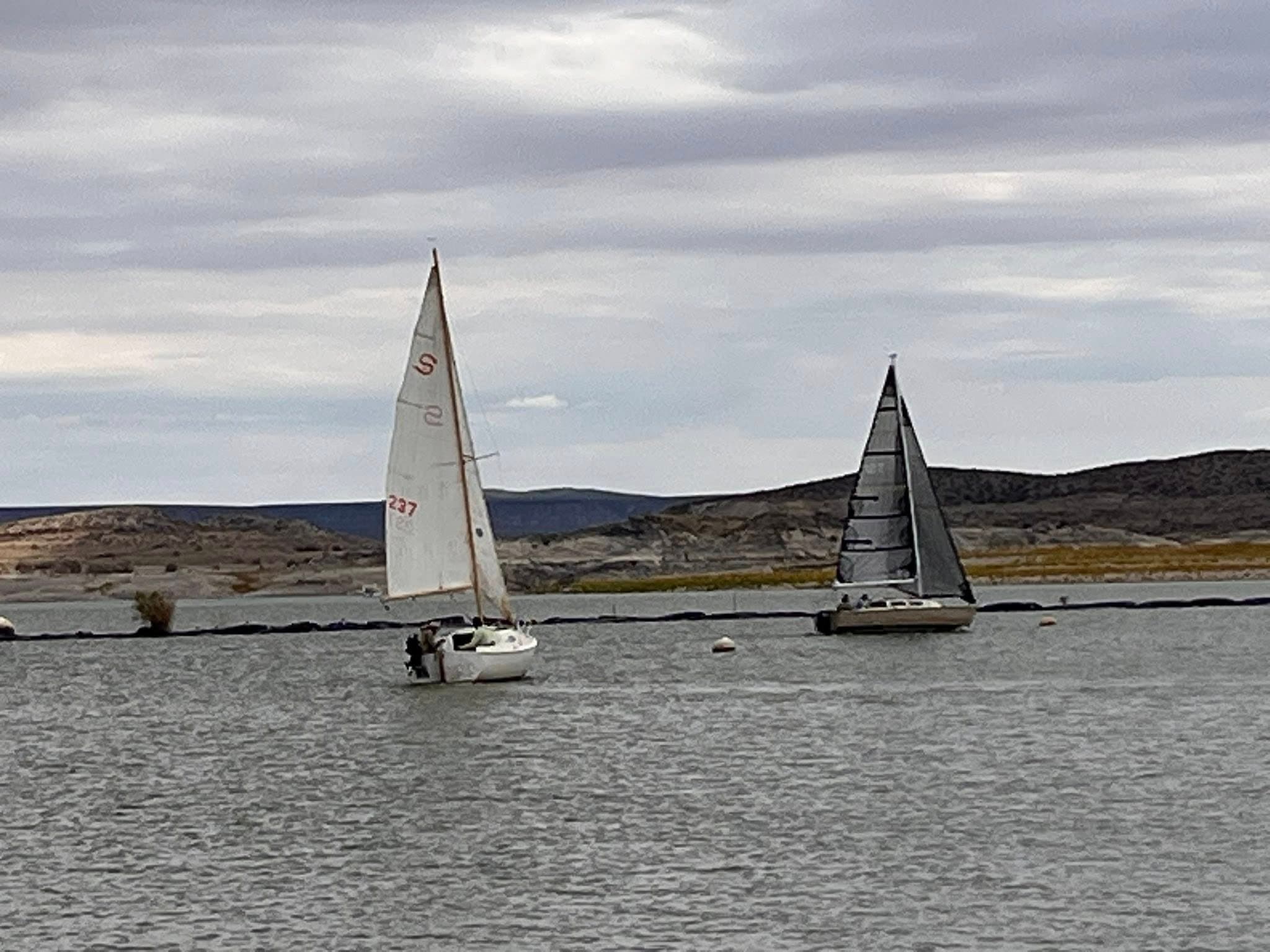Club Regatta